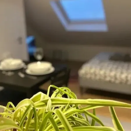 Soh Rent 4 Tv-wifi Proche Gare Estrasburgo